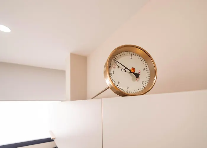 Md Nou Mestalla